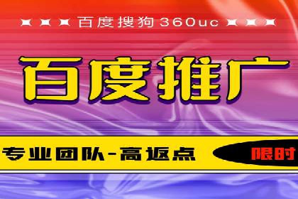 专业SEM服务公司案例分析报告